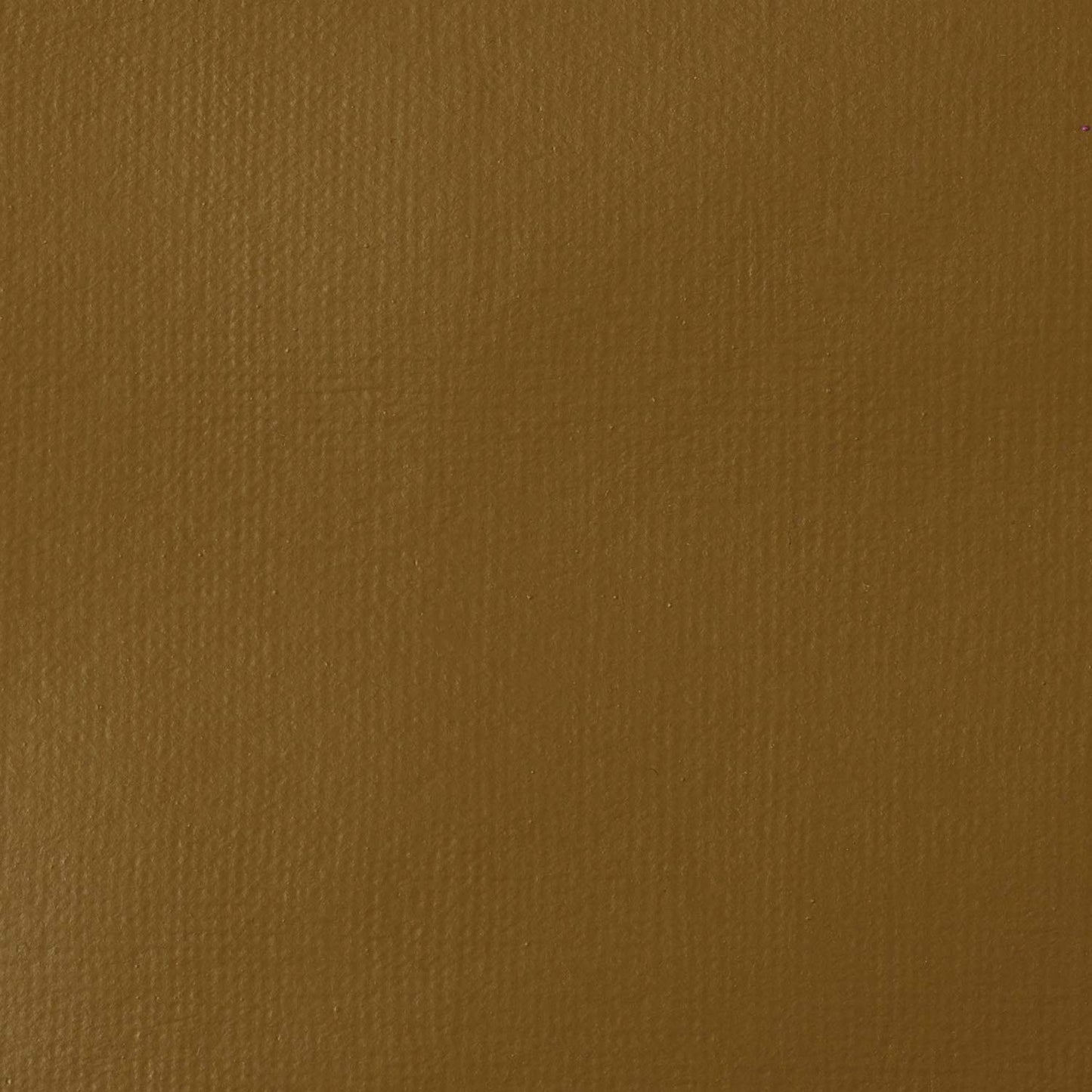 1046530 - Bronze Yellow 2.jpg
