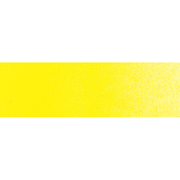 Winsor & Newton Bismuth Yellow Whole Pan - S3 Professional Watercolour - Winsor & Newton at DRK Crafts
