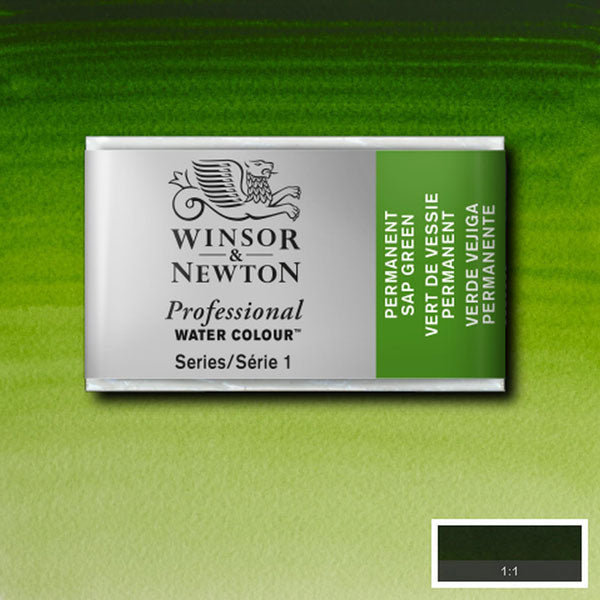 Winsor & Newton Permanent Sap Green Whole Pan - S1 Professional Watercolour - Winsor & Newton at DRK Crafts