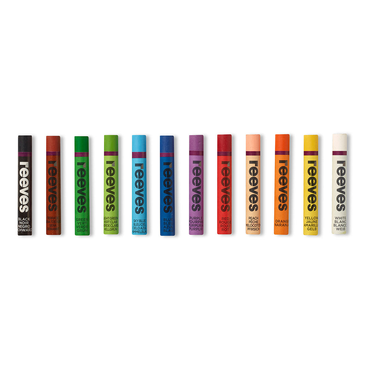 Reeves Oil Pastel 12 Pack