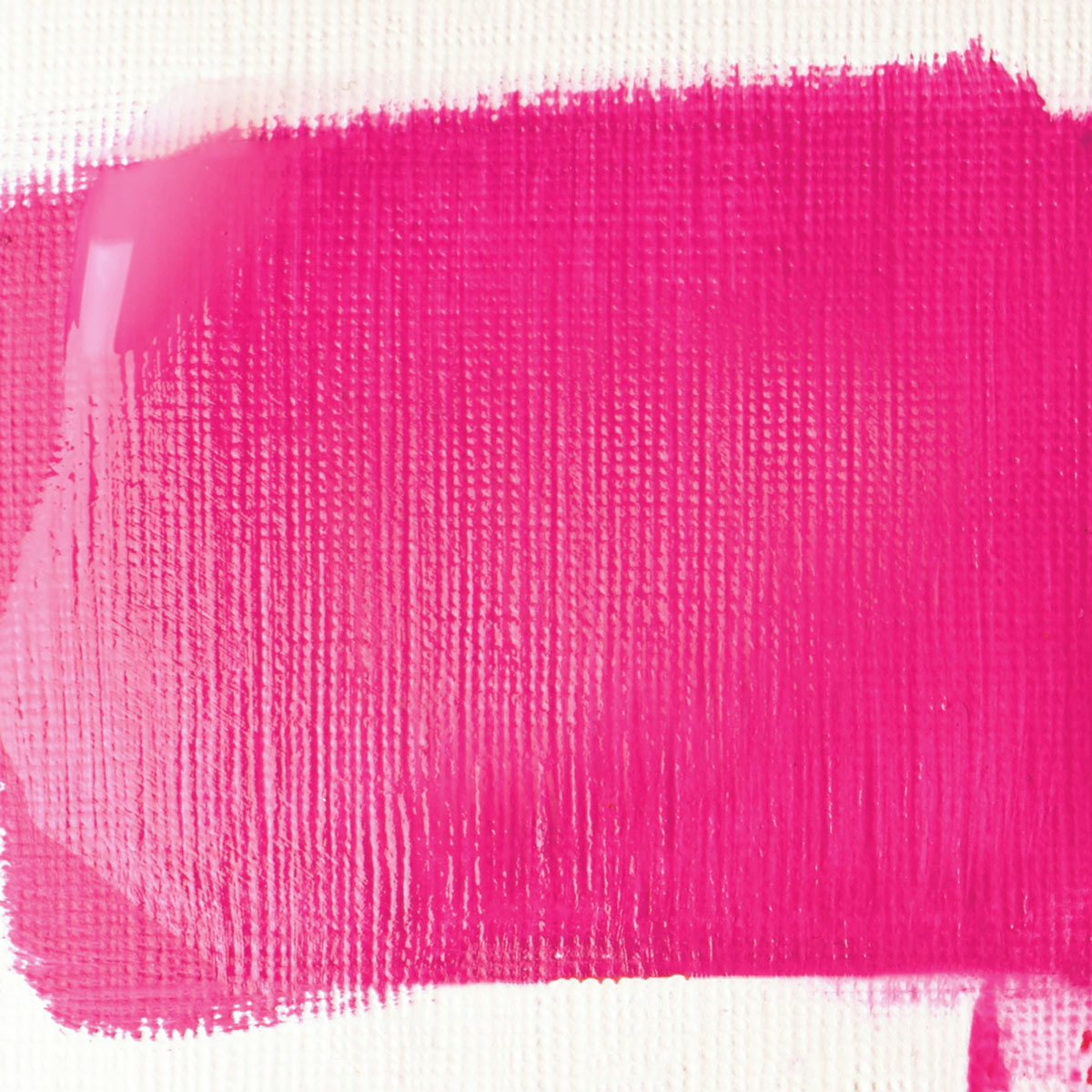 Liquitex Basics - Gloss Varnish 250ml