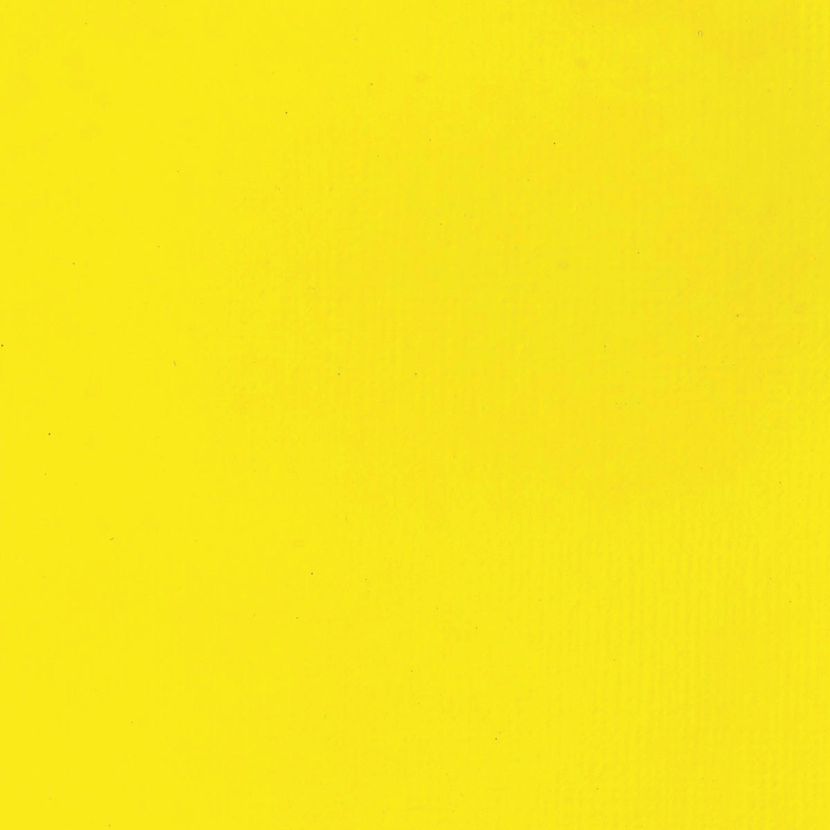 Liquitex Basics Acrylic Fluid - Cadmium Yellow Light Hue S1