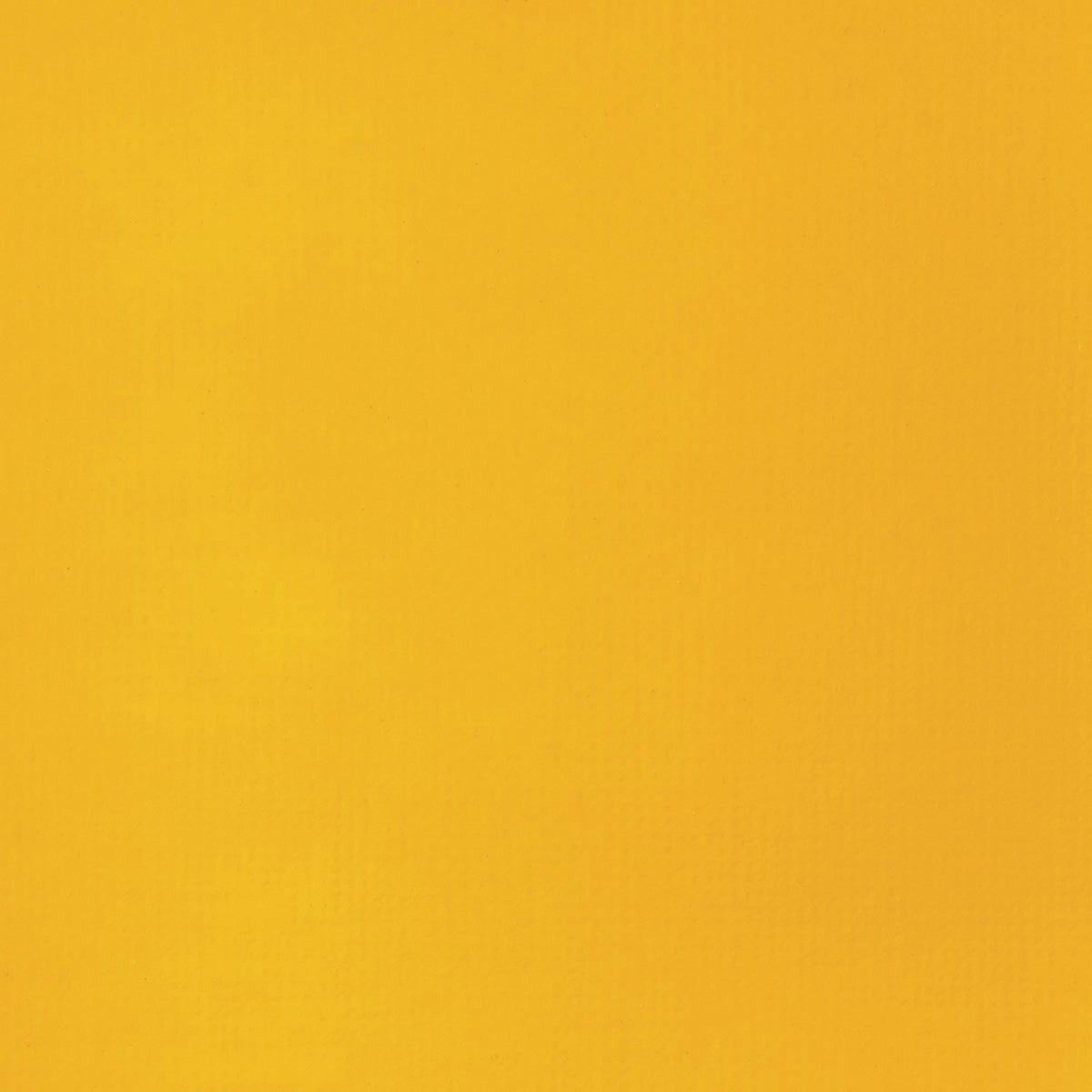 Liquitex Basics Acrylic Fluid - Cadmium Yellow Deep Hue S1