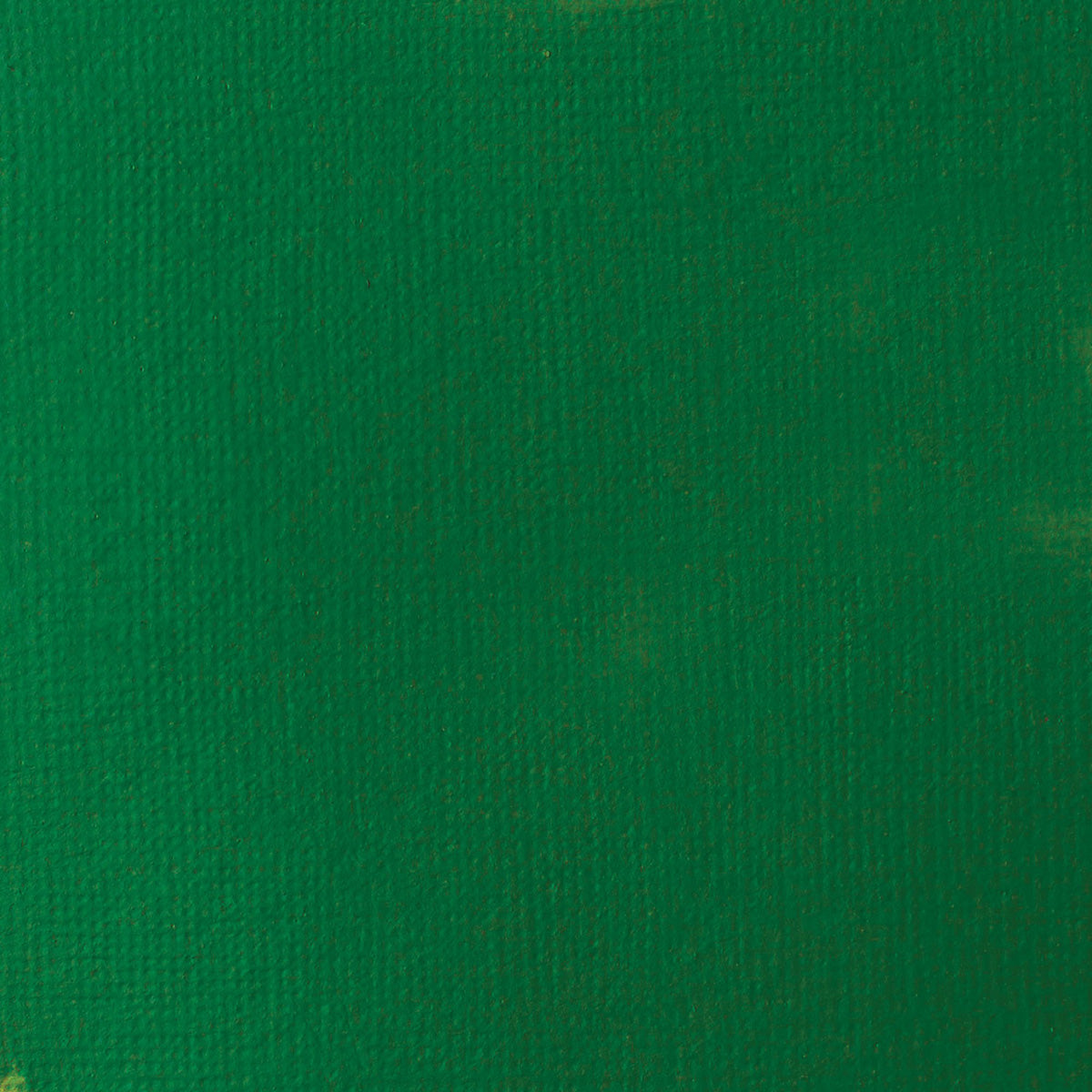 Liquitex Basics Acrylic Fluid - Hookers Green Hue Permanent S1