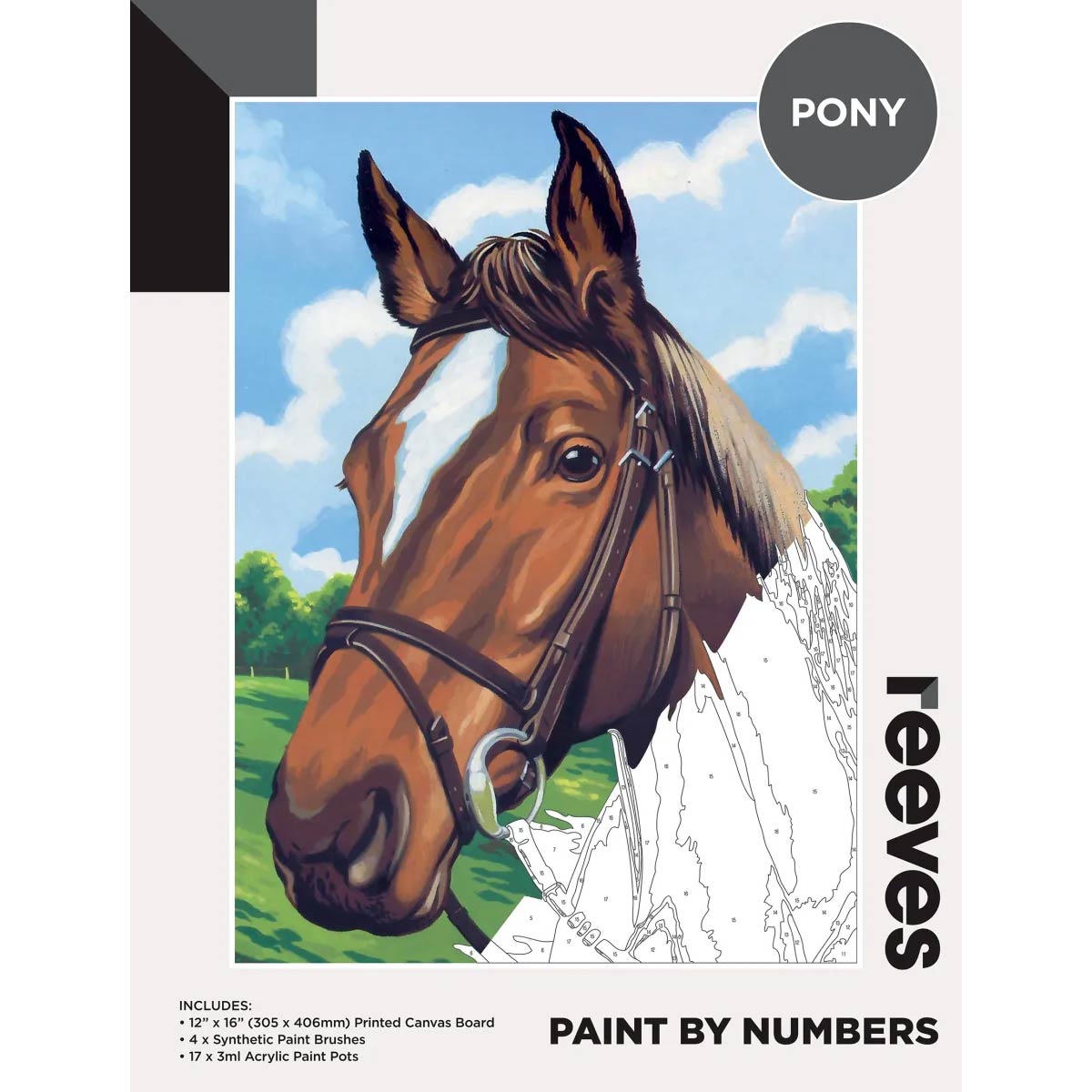 Reeves Paint by Numbers 12x16 inch - Pony