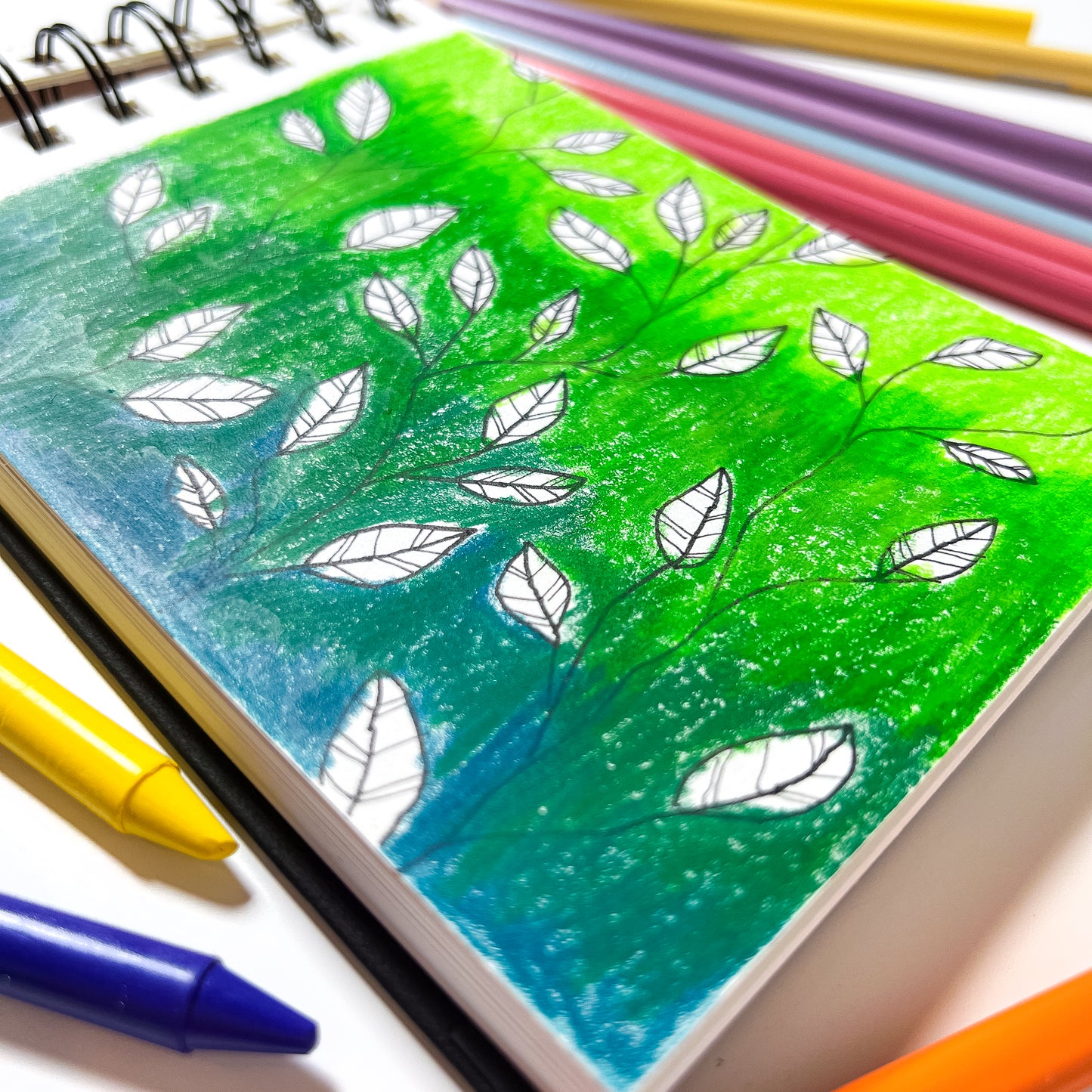 Elements A4 Sketchbook 50s 180gsm Landscape Wire-O Black Cover – Art & Craft Essential