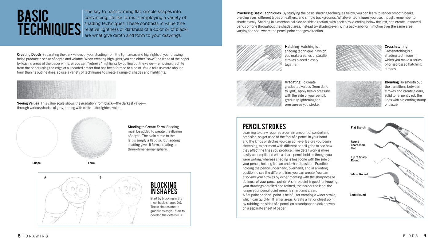 The Birders Drawing And Coloring Kit