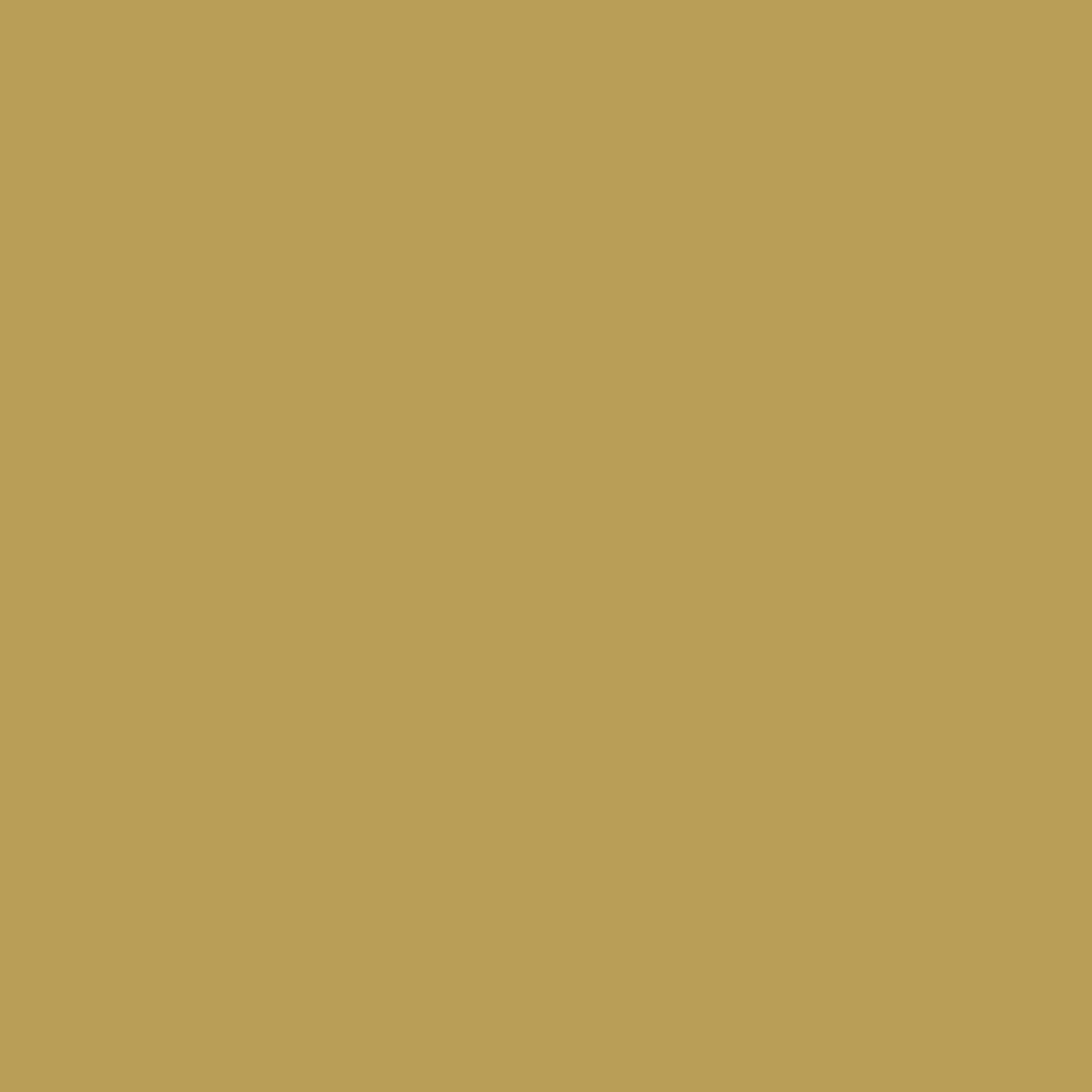 Liquitex Marker 2mm Metallic Champagne Gold