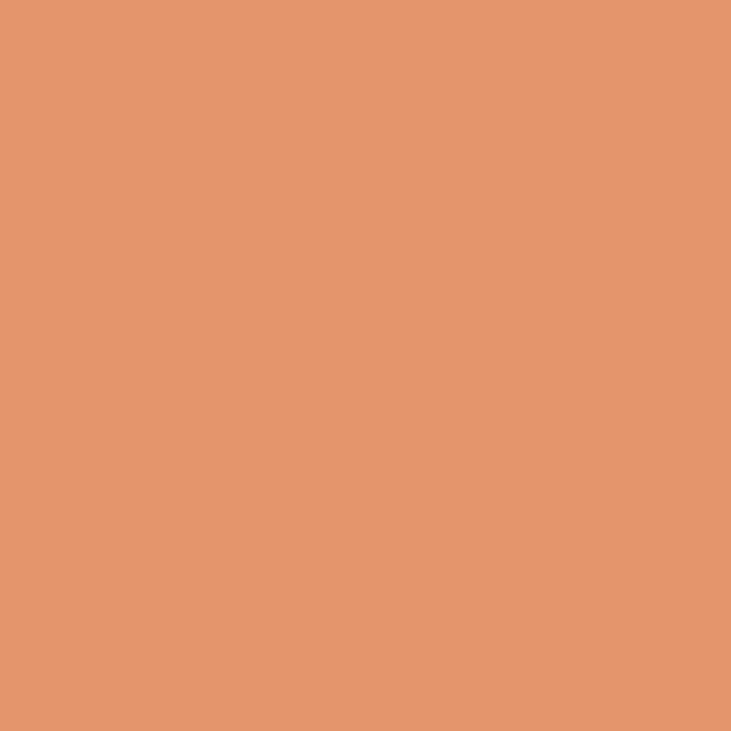 Liquitex Marker 2mm Terracotta