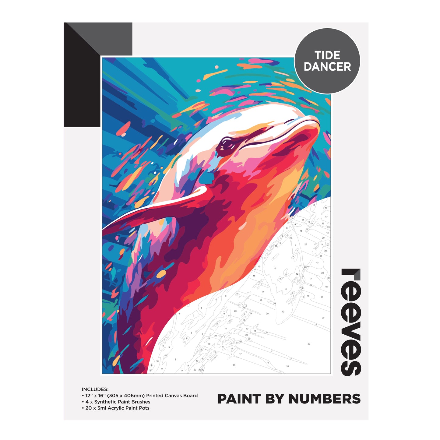 Reeves Paint by Numbers 12 x 16 in – Tide Dancer