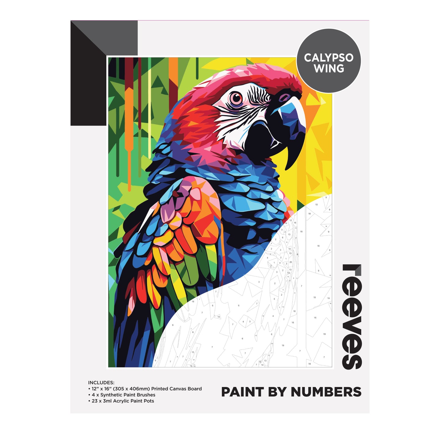 Reeves Paint by Numbers 12 x 16 in – Calypso Wing