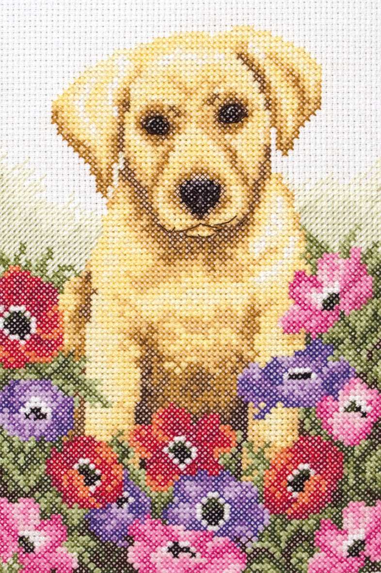 Anchor Counted Cross Stitch Kit Puppy