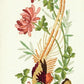 Anchor - Embroidery Kit - Vintage Chrysanthemum - Bird - 27