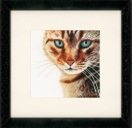 Lanarte - Cross Stitch Kit - Cat in Close Up - Tabby Cat