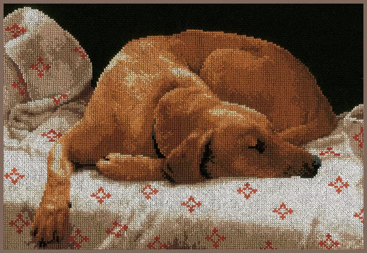 Lanarte Counted Cross Stitch Kit - Sleeping Dog (Aida)