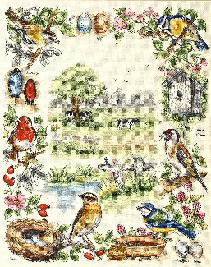 Anchor - Counted Cross Stitch Kit - Birds Sampler - PSC52