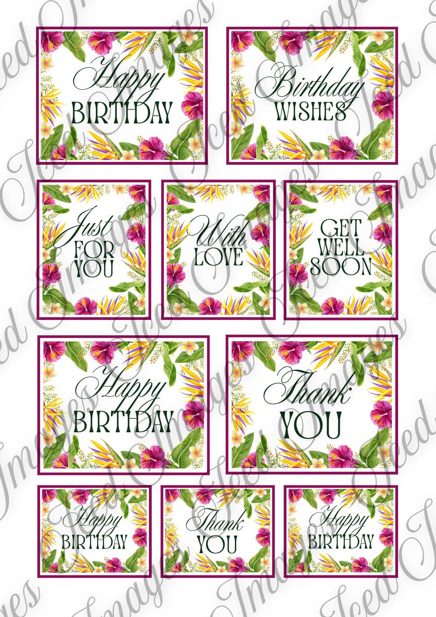 Digital Kit A4 Papers Tropical Feathers - 12 designs