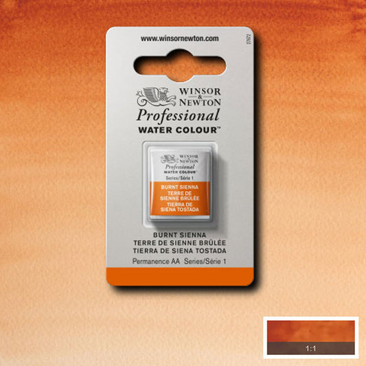 Winsor & Newton Burnt Sienna Half Pan - S1 Professional Watercolour - Winsor & Newton at DRK Crafts
