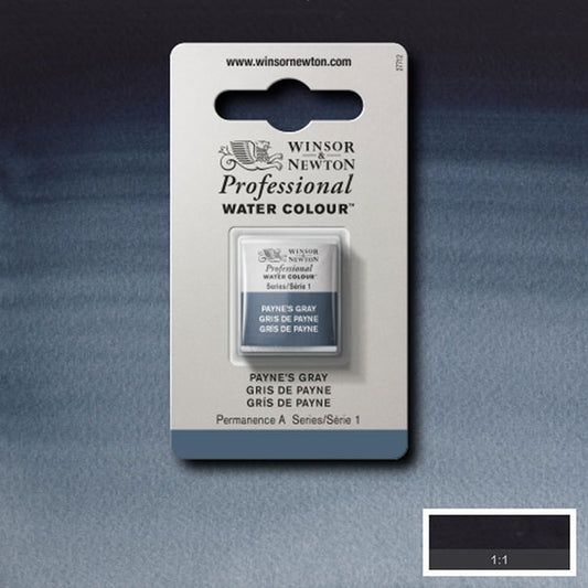 Winsor & Newton Paynes Grey Half Pan - S1 Professional Watercolour - Winsor & Newton at DRK Crafts