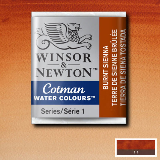 Winsor & Newton Cotman Watercolour Half Pan Burnt Sienna - Winsor & Newton at DRK Crafts