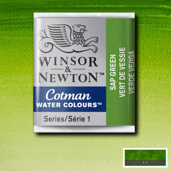 Winsor & Newton Cotman Watercolour Half Pan Sap Green - Winsor & Newton at DRK Crafts