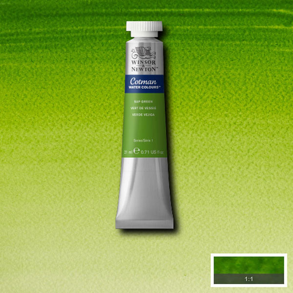 Winsor & Newton Cotman Watercolour Sap Green 21ml - Winsor & Newton at DRK Crafts