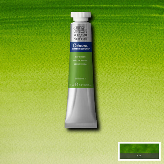 Winsor & Newton Cotman Watercolour Sap Green 21ml - Winsor & Newton at DRK Crafts