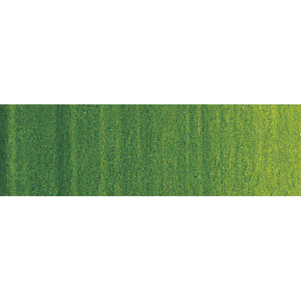 Winsor & Newton Artists' Oil Colour 200ml Sap Green - Winsor & Newton at DRK Crafts