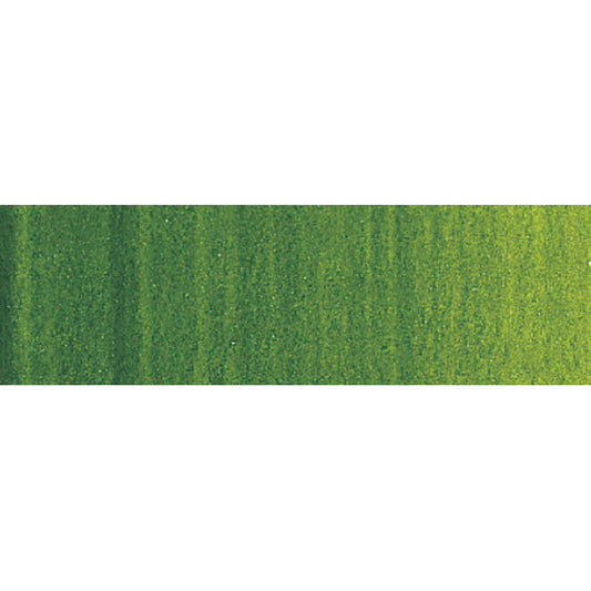 Winsor & Newton Artists' Oil Colour 200ml Sap Green - Winsor & Newton at DRK Crafts
