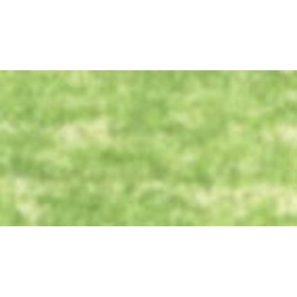 Derwent Pastel Pencil May Green