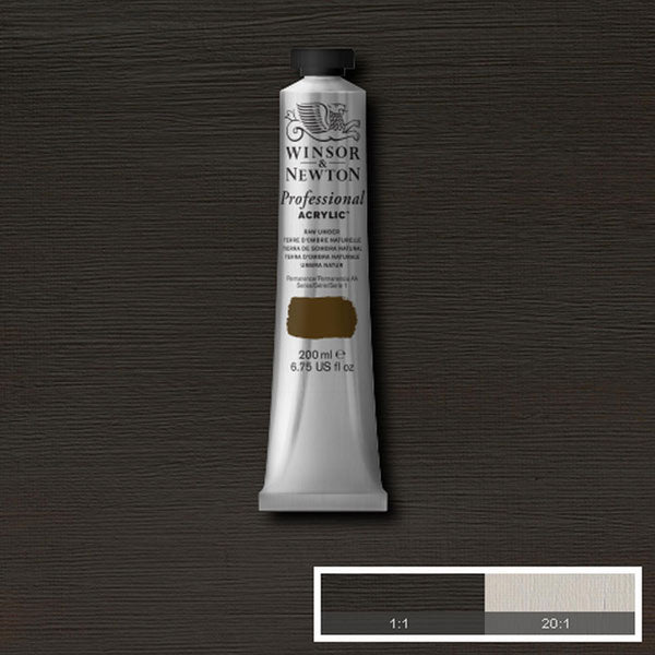 Winsor & Newton PAC 200ml Raw Umber - Winsor & Newton at DRK Crafts