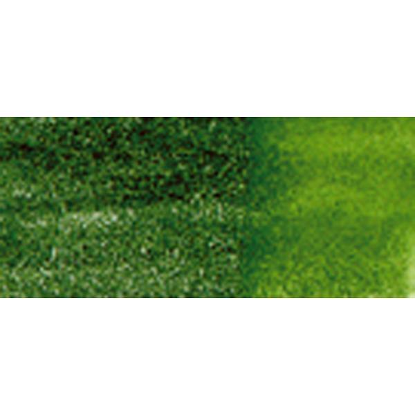 Derwent Wc Pencil Cedar Green