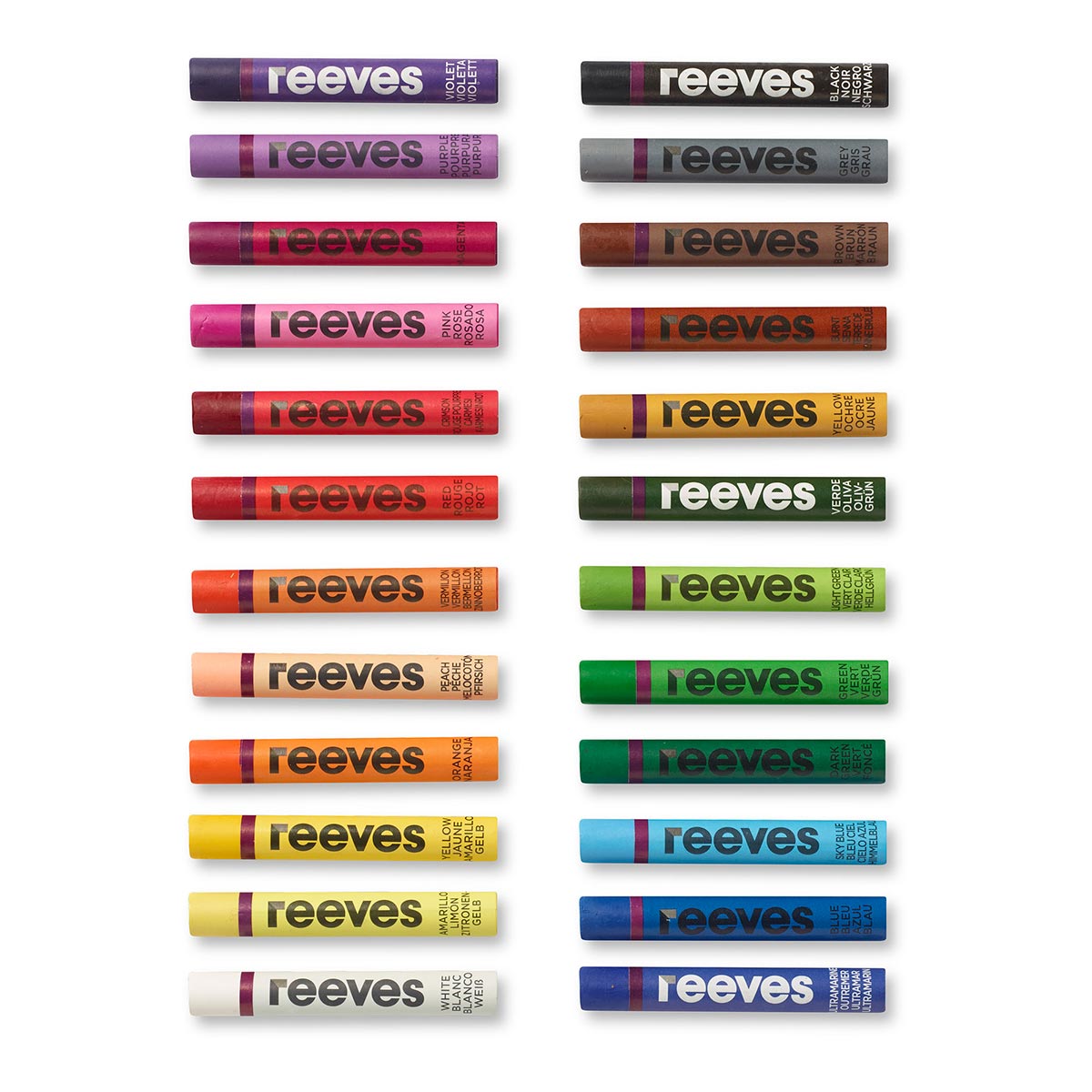 Reeves Oil Pastel 24 Pack