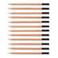 Reeves Sketching Pencils - 12 Assorted