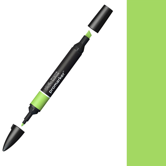 Winsor & Newton Promarker Leaf Green (G258) - Winsor & Newton at DRK Crafts