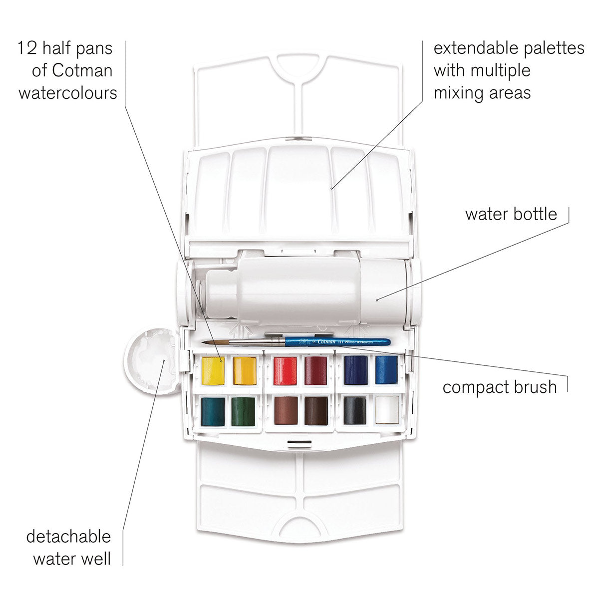 Winsor & Newton Cotman Watercolours Field Plus - 12 s - Winsor & Newton at DRK Crafts