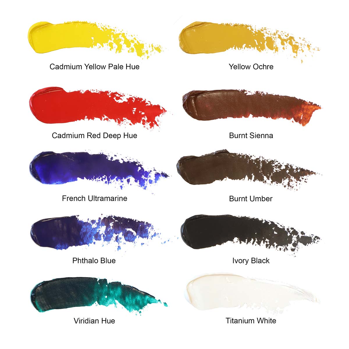 Winsor & Newton Winton Oil Paint Basic Set 21ml 10PK - Winsor & Newton at DRK Crafts
