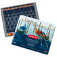 Derwent Wc Pencil Tin Of 24