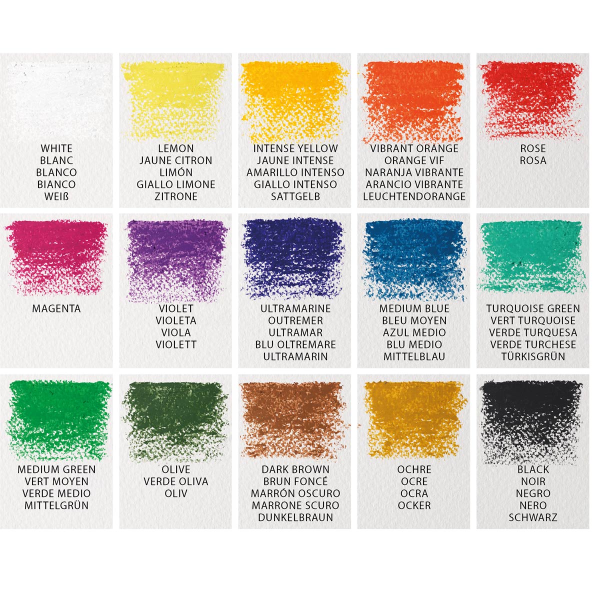 Winsor & Newton Fine Artists Oil Pastels Pack of 15 - Winsor & Newton at DRK Crafts