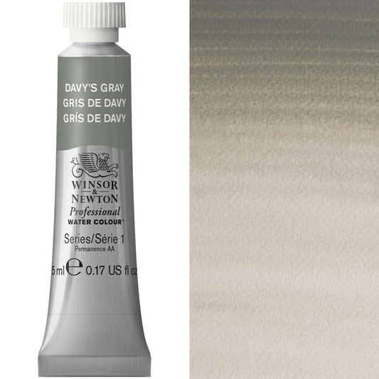 Winsor & Newton Professional Watercolour 5ml Davy S Gray - Winsor & Newton at DRK Crafts
