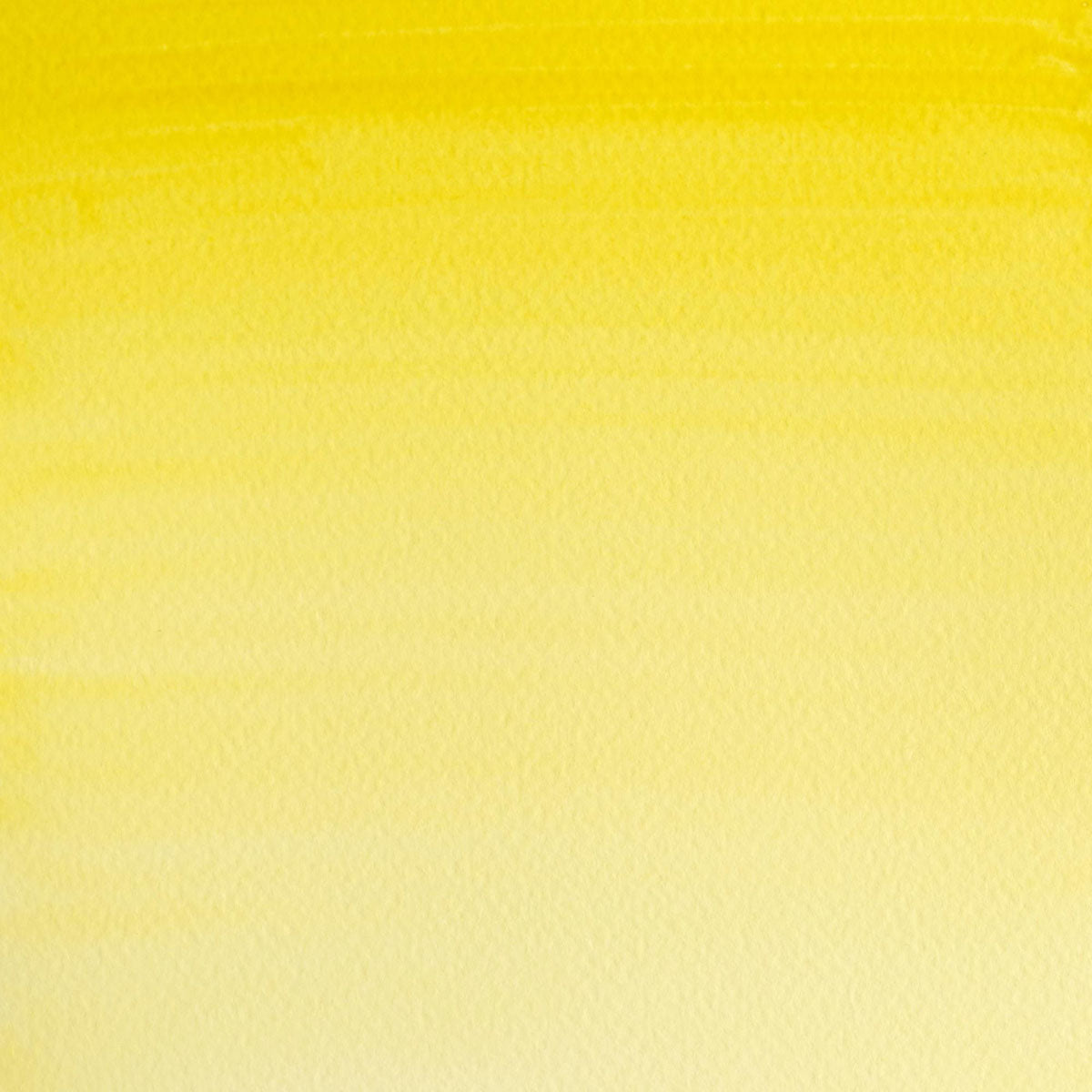 Winsor & Newton Cotman Watercolour Lemon Yellow Hue 21ml - Winsor & Newton at DRK Crafts