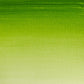 Winsor & Newton Cotman Watercolour Sap Green 21ml - Winsor & Newton at DRK Crafts