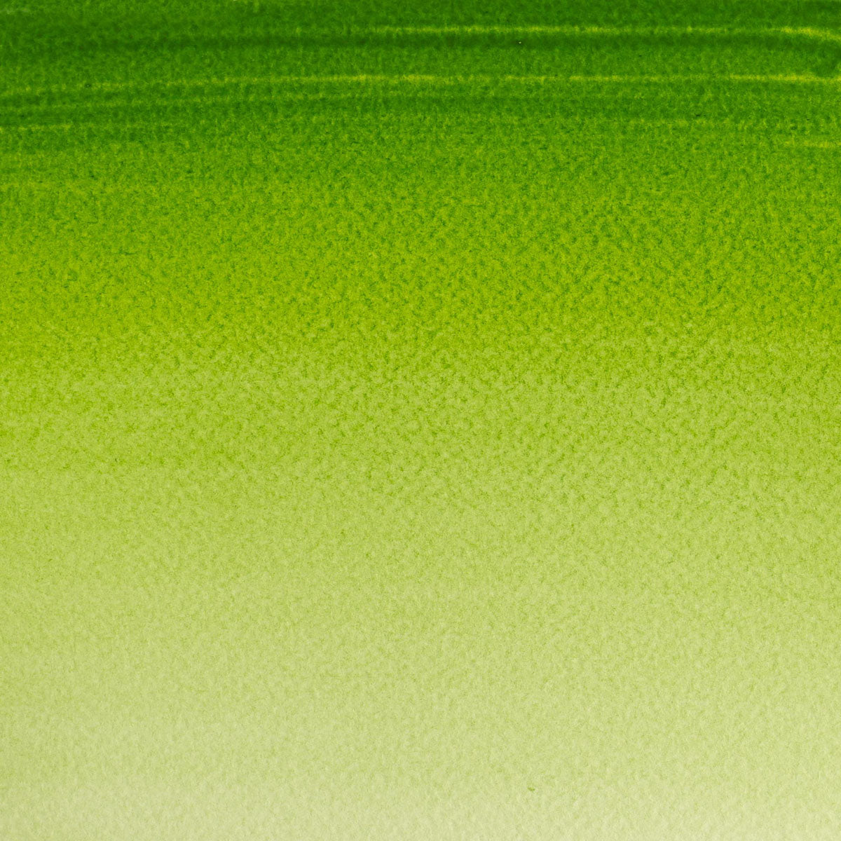 Winsor & Newton Cotman Watercolour Sap Green 21ml - Winsor & Newton at DRK Crafts