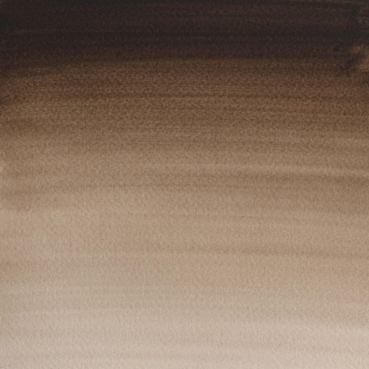 Winsor & Newton Cotman Watercolour Sepia 21ml - Winsor & Newton at DRK Crafts