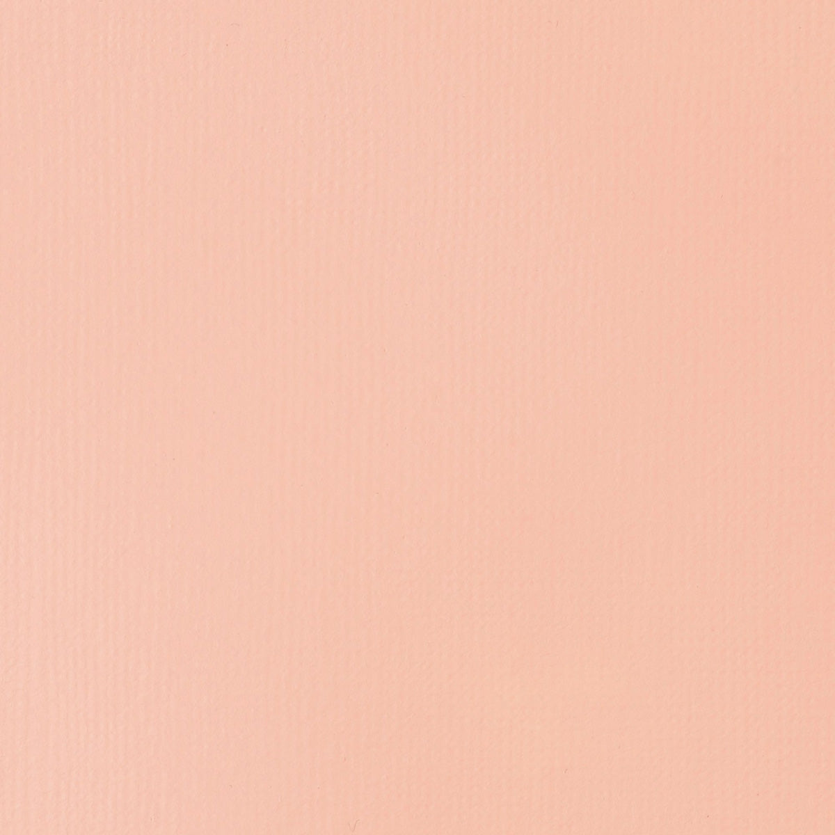 Liquitex Basics Acrylic Fluid - Light Pink S1