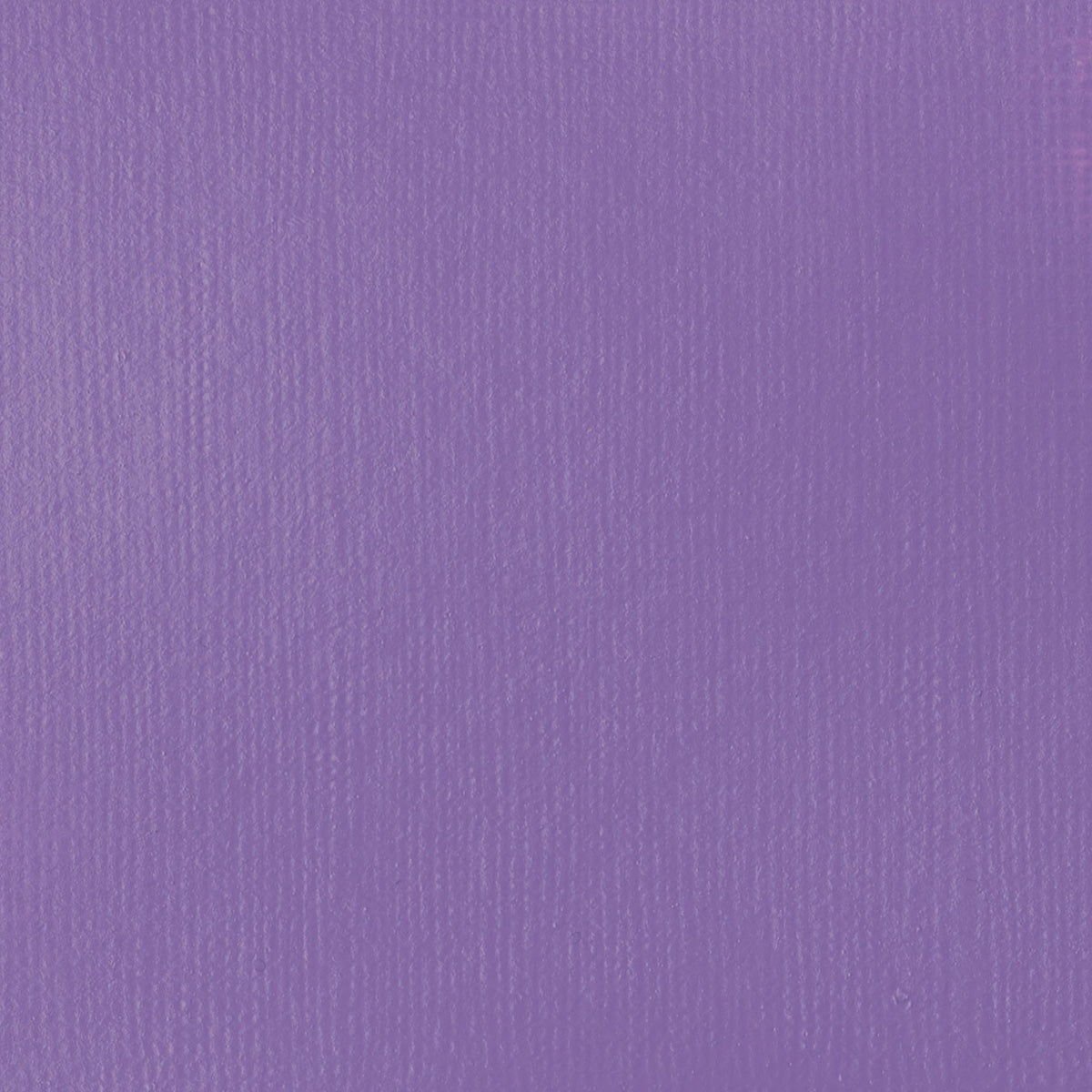 Liquitex Basics Acrylic Fluid - Brilliant Purple S1