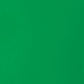 Liquitex Basics Acrylic Fluid - Light Green Permanent S1