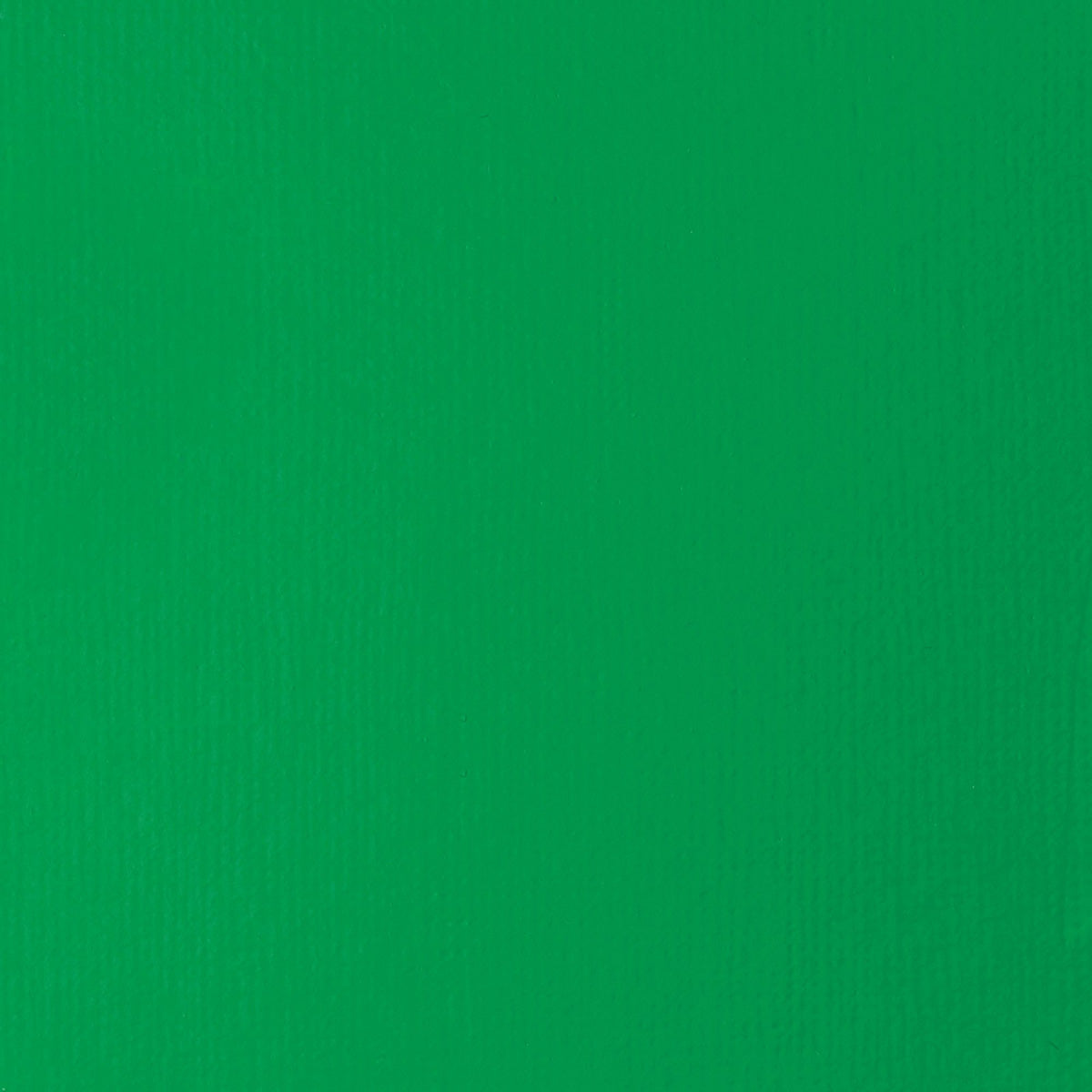 Liquitex Basics Acrylic Fluid - Light Green Permanent S1
