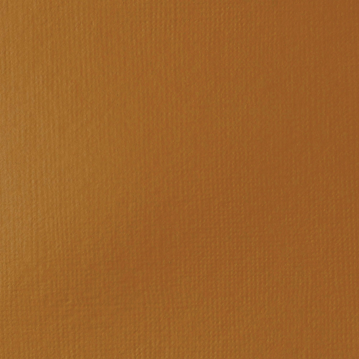 Liquitex Basics Acrylic Fluid - Raw Sienna S1