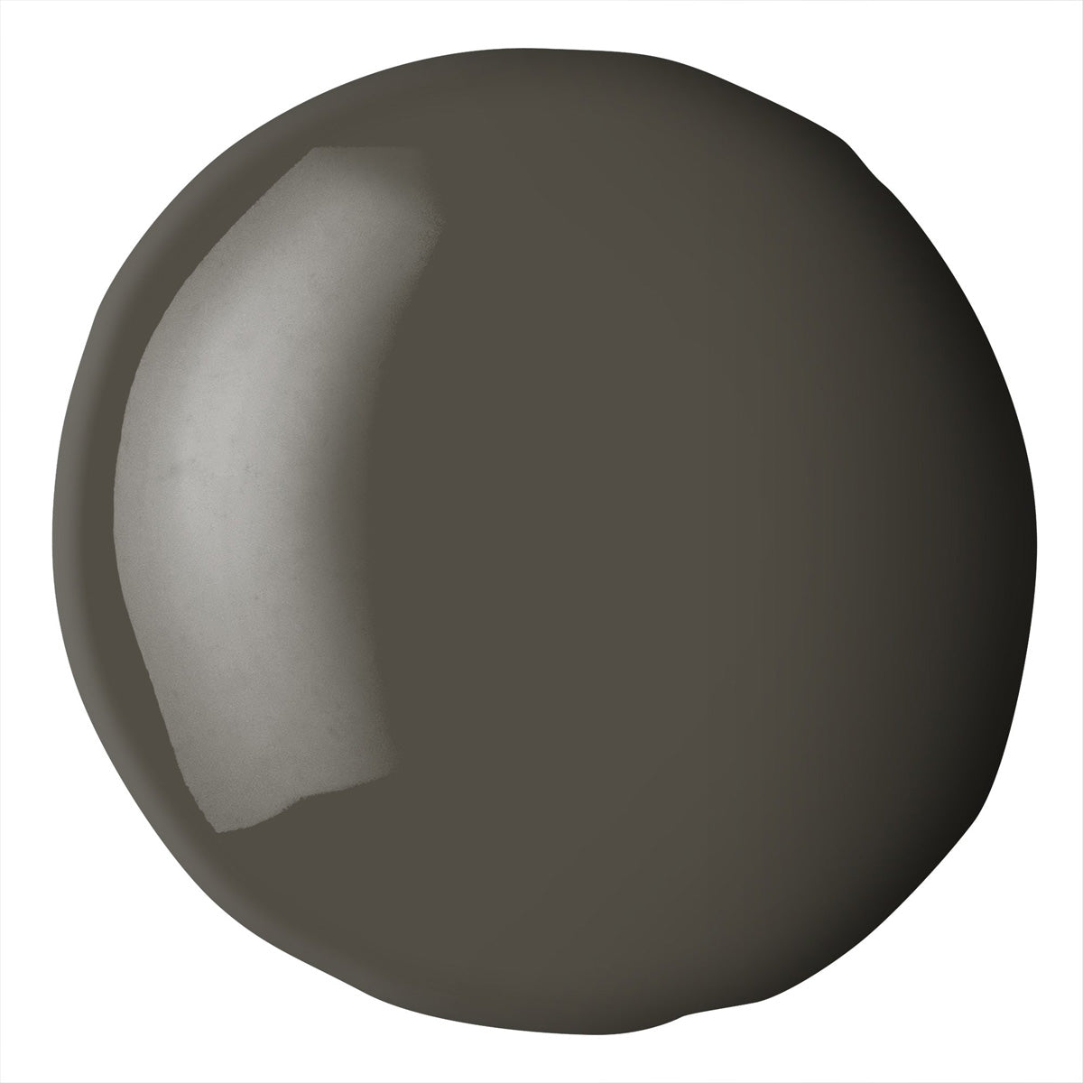 Liquitex Basics Acrylic Fluid - Raw Umber S1